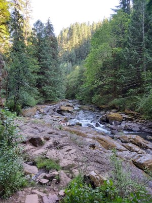 20200716_173655.jpg