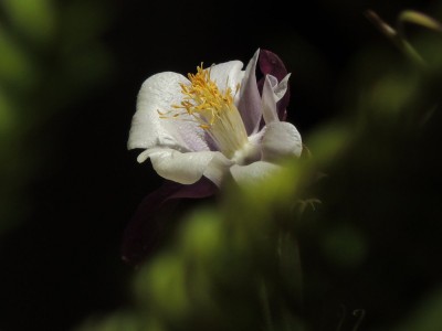 DSCN6551.JPG