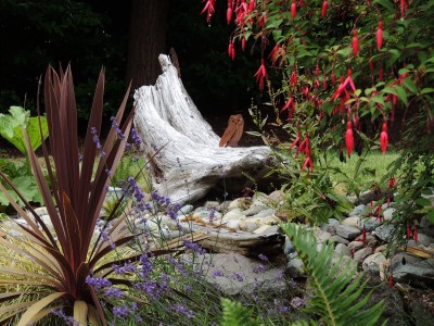 DSCN6387.JPG