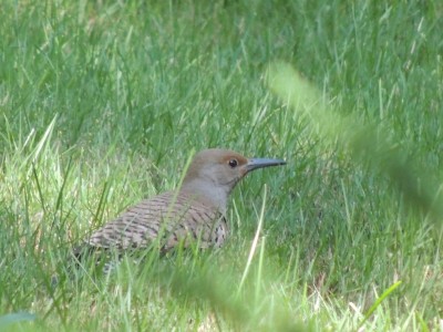 DSCN5937.JPG