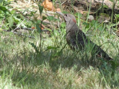 DSCN5930.JPG