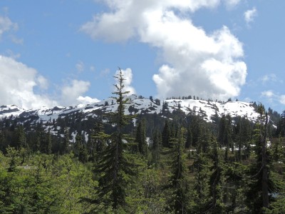 DSCN6460.JPG