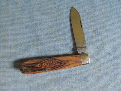 DSCN6598.JPG
