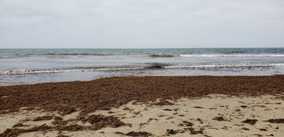 20200715_113702.jpg