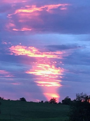 sunset.jpg