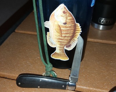 20200725_122543.jpg