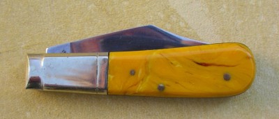 IMGP9258.JPG