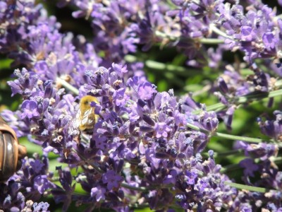 DSCN6558.JPG