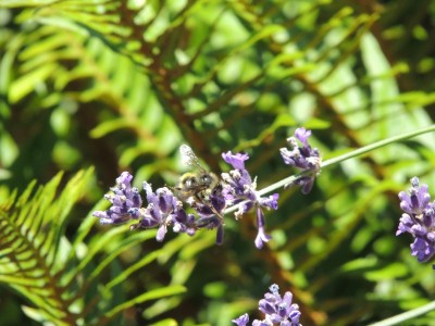 DSCN6556.JPG