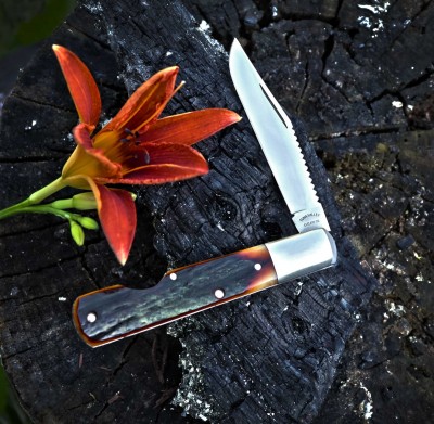 2014-tuna-valley-fish-scaler-amber-stag-01-lo.jpg