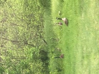 IMG_0409.jpg