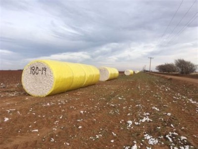 Cotton modules
