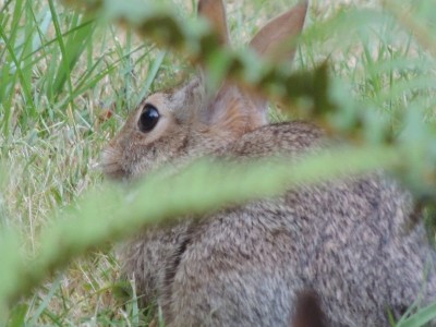 DSCN6391.JPG