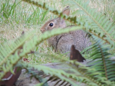 DSCN6393.JPG
