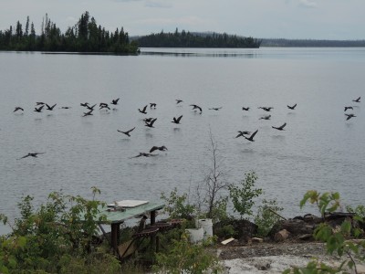DSCN0349.JPG