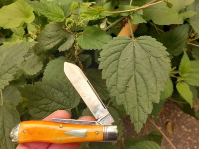 thumbnail_20200804_095024.jpg