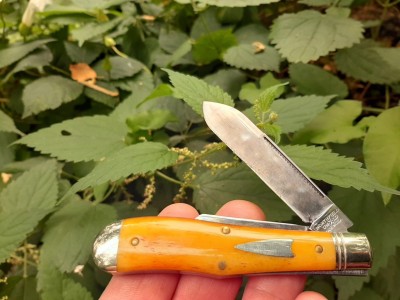thumbnail_20200804_094614.jpg