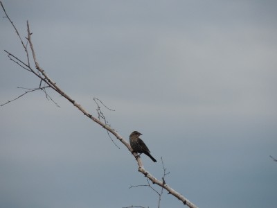 DSCN8809.JPG