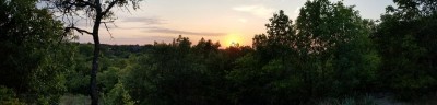 20200805_201206.jpg