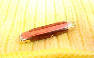 IMG_20200809_094903.jpg