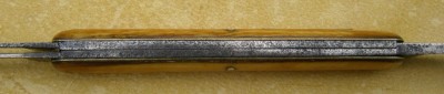 IMGP9347.JPG
