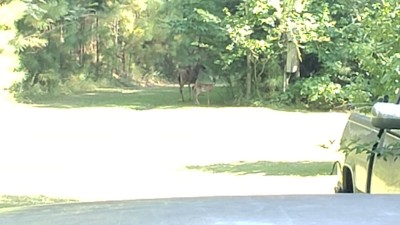 20200813_162401.jpg