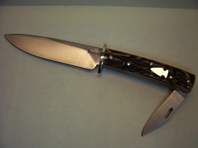 #6 Stag.JPG