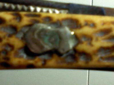 Catt shield.jpg