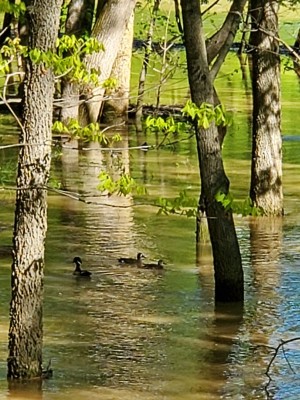 20200816_092835.jpg