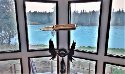 Alaskan Trip