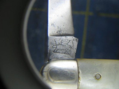 GriffonB'portCT1 002.jpg