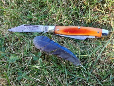 thumbnail_20200818_175335.jpg
