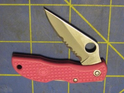 SpydercoDelicaPink1 2019.JPG