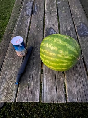 176456E2-7B40-4205-AEFA-BDADCDFF863C.jpeg