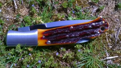 WP_20180503_010.jpg
