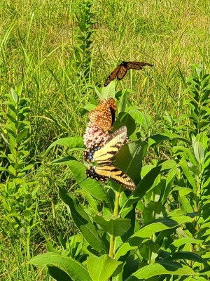 20200825_172256.jpg