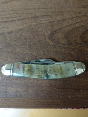 IMAG0282.jpg