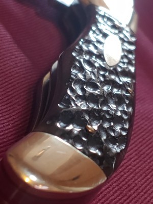 20200826_171206_HDR.jpg