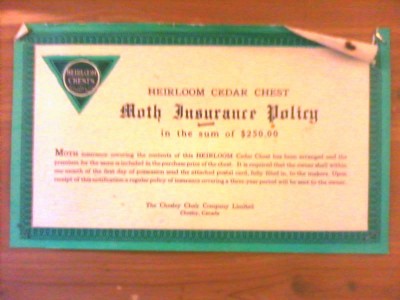 07 $250 Moth Insurance.jpg