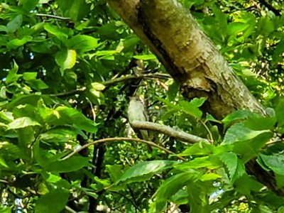 20200829_091607.jpg