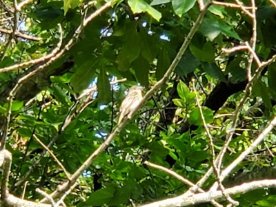 20200829_091535.jpg
