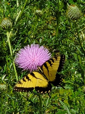 20200830_132309.jpg