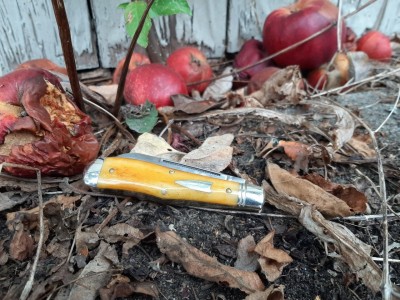 #92 Eureka Jack with rotten apples