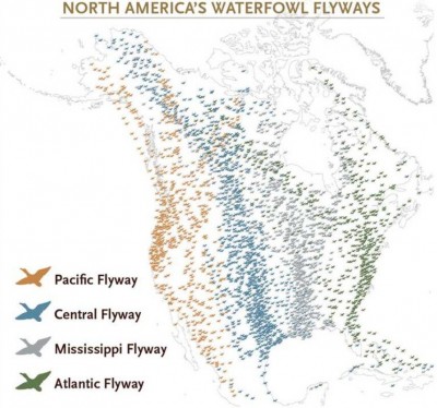 Flyways