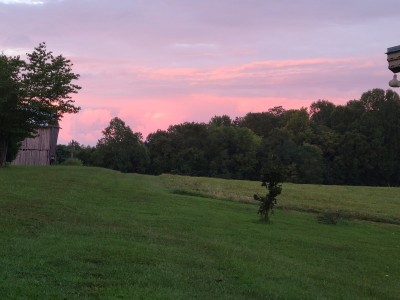 20200831_191447.jpg