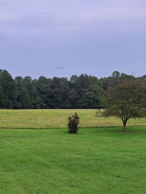 20200902_193524.jpg