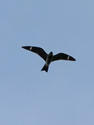 20200902_193432.jpg