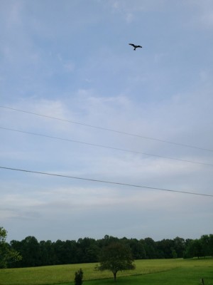 20200902_185401.jpg