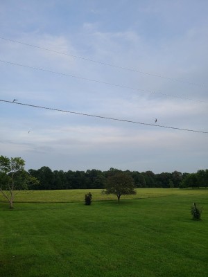 20200902_185355.jpg