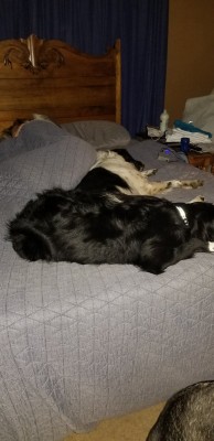 20200902_234010.jpg